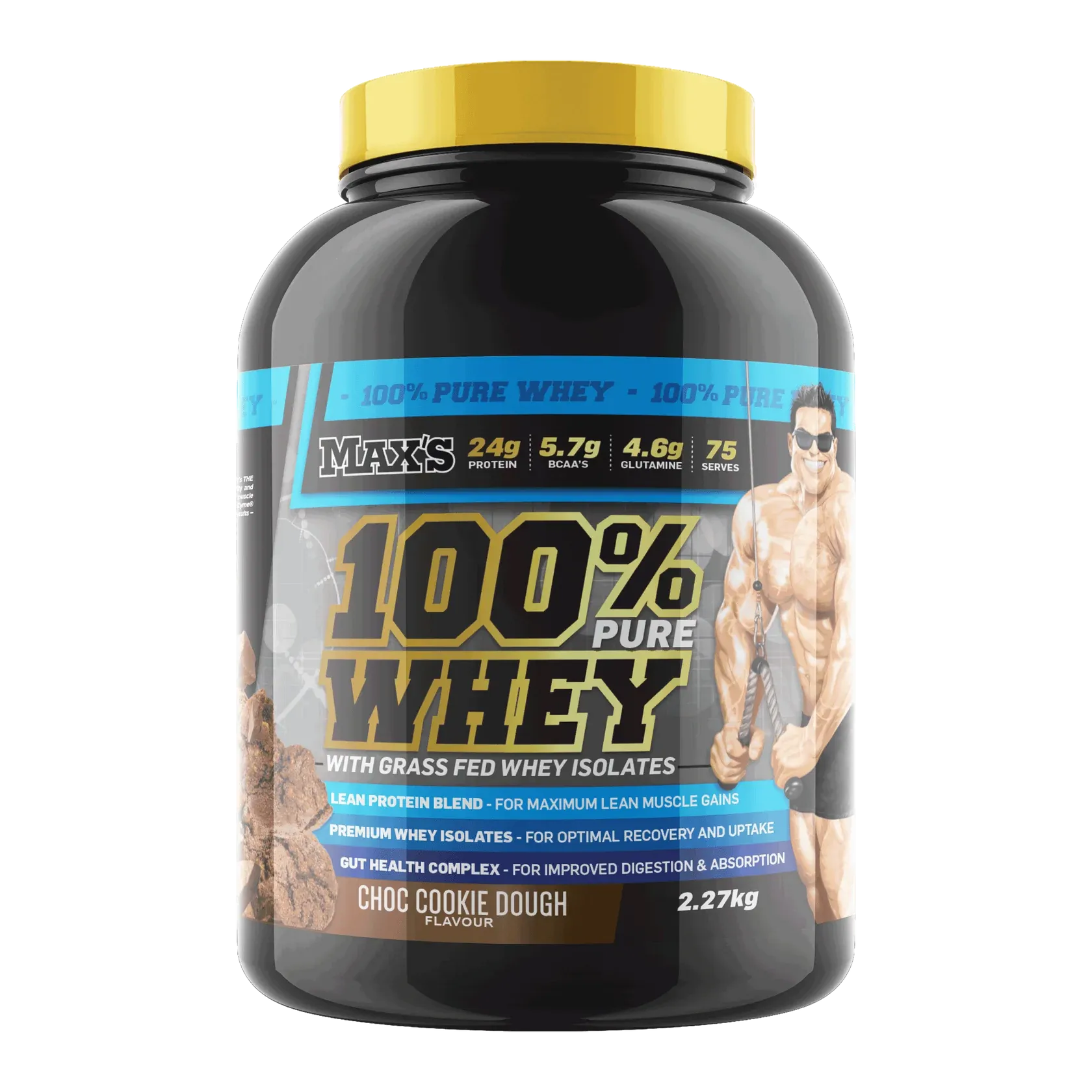 100% Whey Protein by Maxs