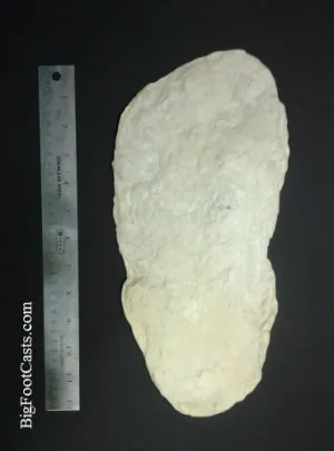 1967 Onion Mountain (Blue Creek) John Green Bigfoot cast replica