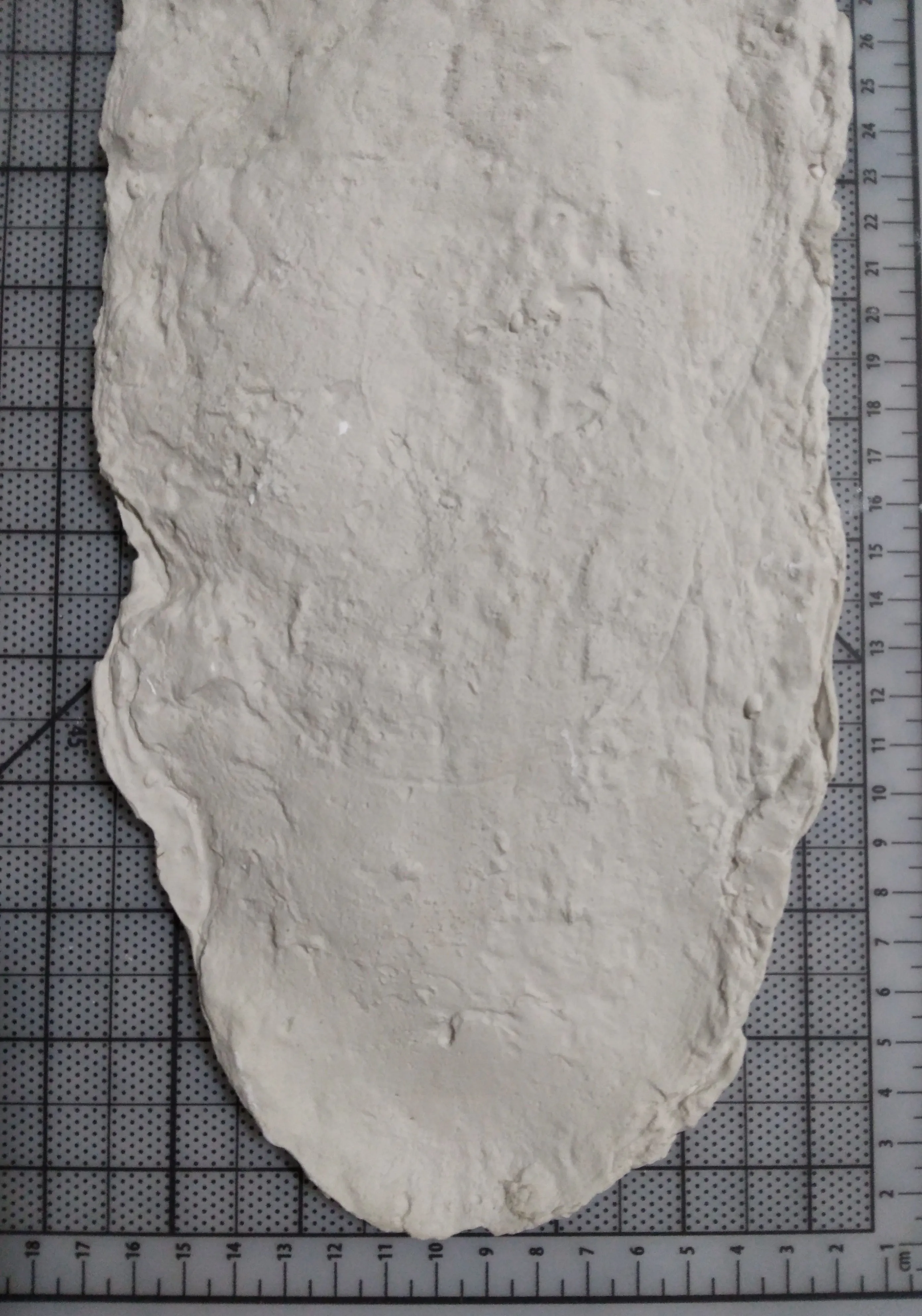 1967 Onion Mountain (Blue Creek) John Green Bigfoot cast replica