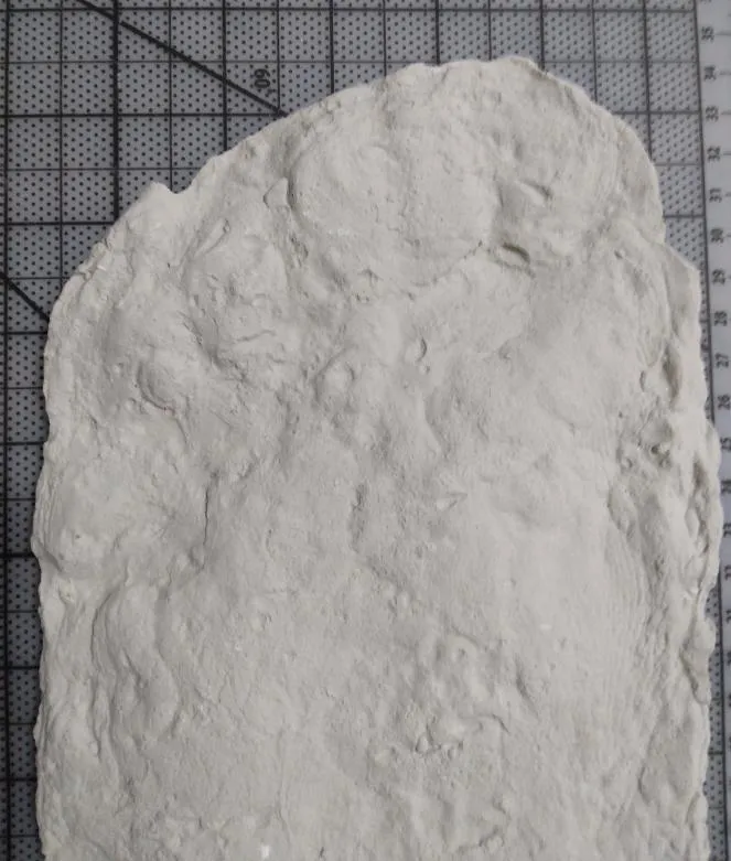 1967 Onion Mountain (Blue Creek) John Green Bigfoot cast replica