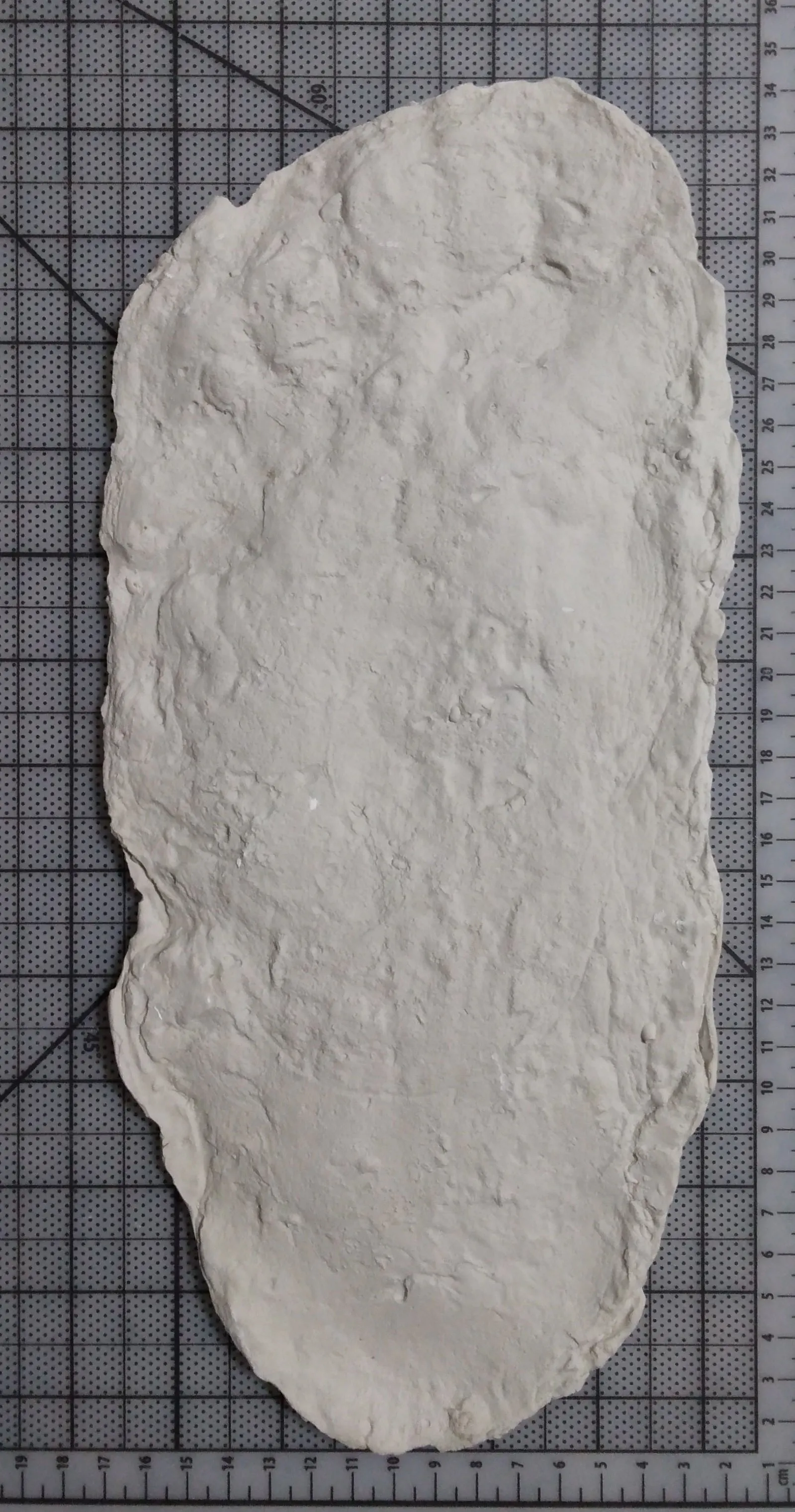 1967 Onion Mountain (Blue Creek) John Green Bigfoot cast replica