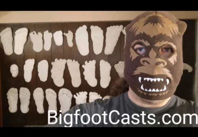 1967 Onion Mountain (Blue Creek) John Green Bigfoot cast replica