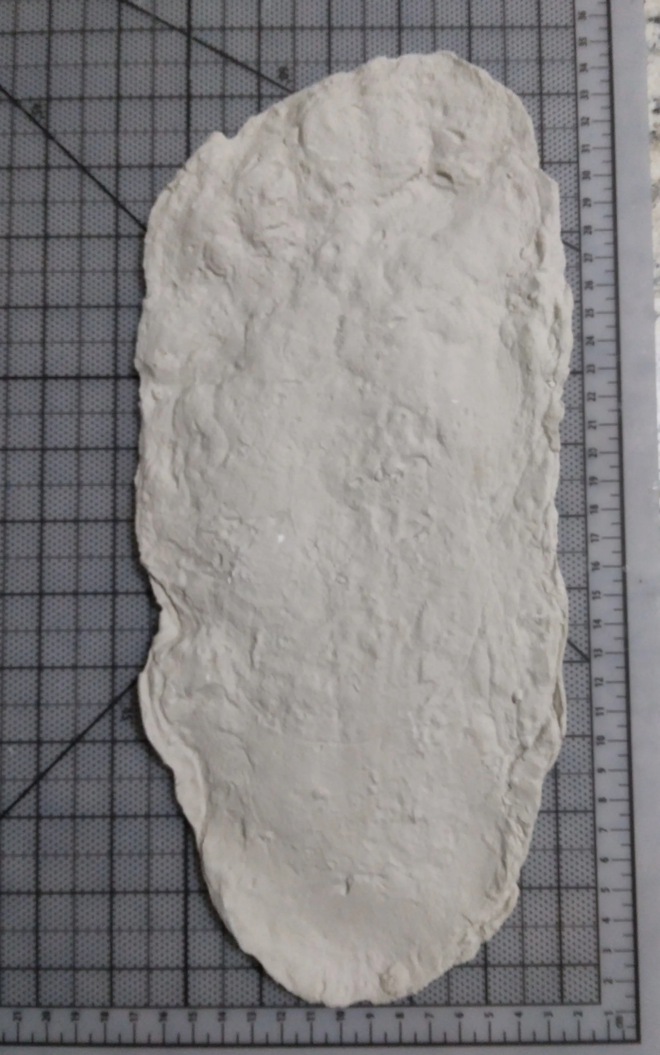 1967 Onion Mountain (Blue Creek) John Green Bigfoot cast replica
