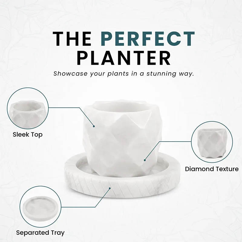 4" Marble Planters For Plant Stand -  Indoor Planter & Outdoor Planter