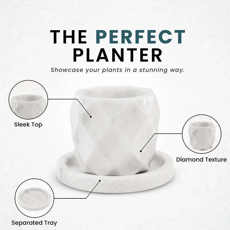 6" Marble Planters For Houseplants -  Large Outdoor Planters  & Indoor Planters