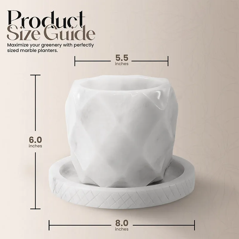 6" Marble Planters For Houseplants -  Large Outdoor Planters  & Indoor Planters