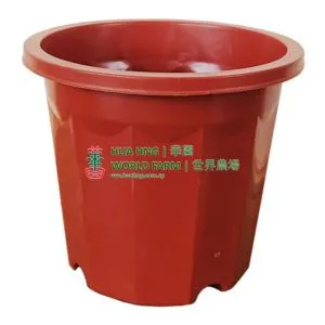 A310x300 China Plastic Pot