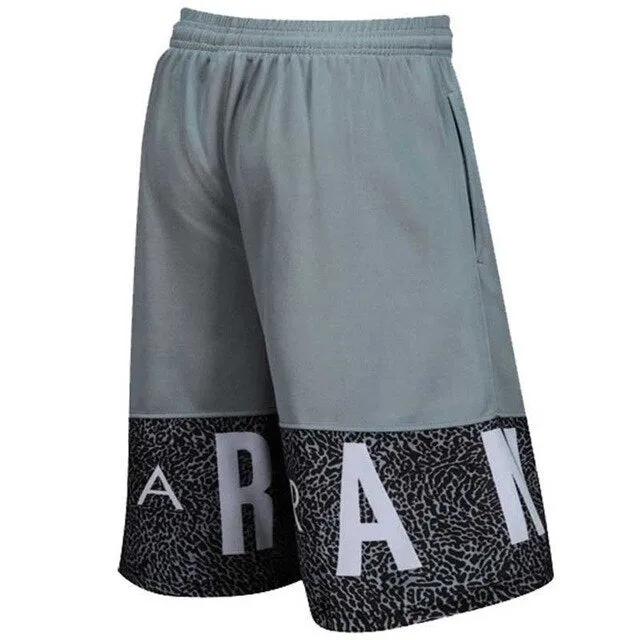 Air Jordan Shorts for Male