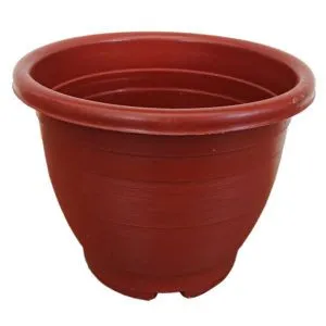 AV 330 x 270 China Plastic Pot
