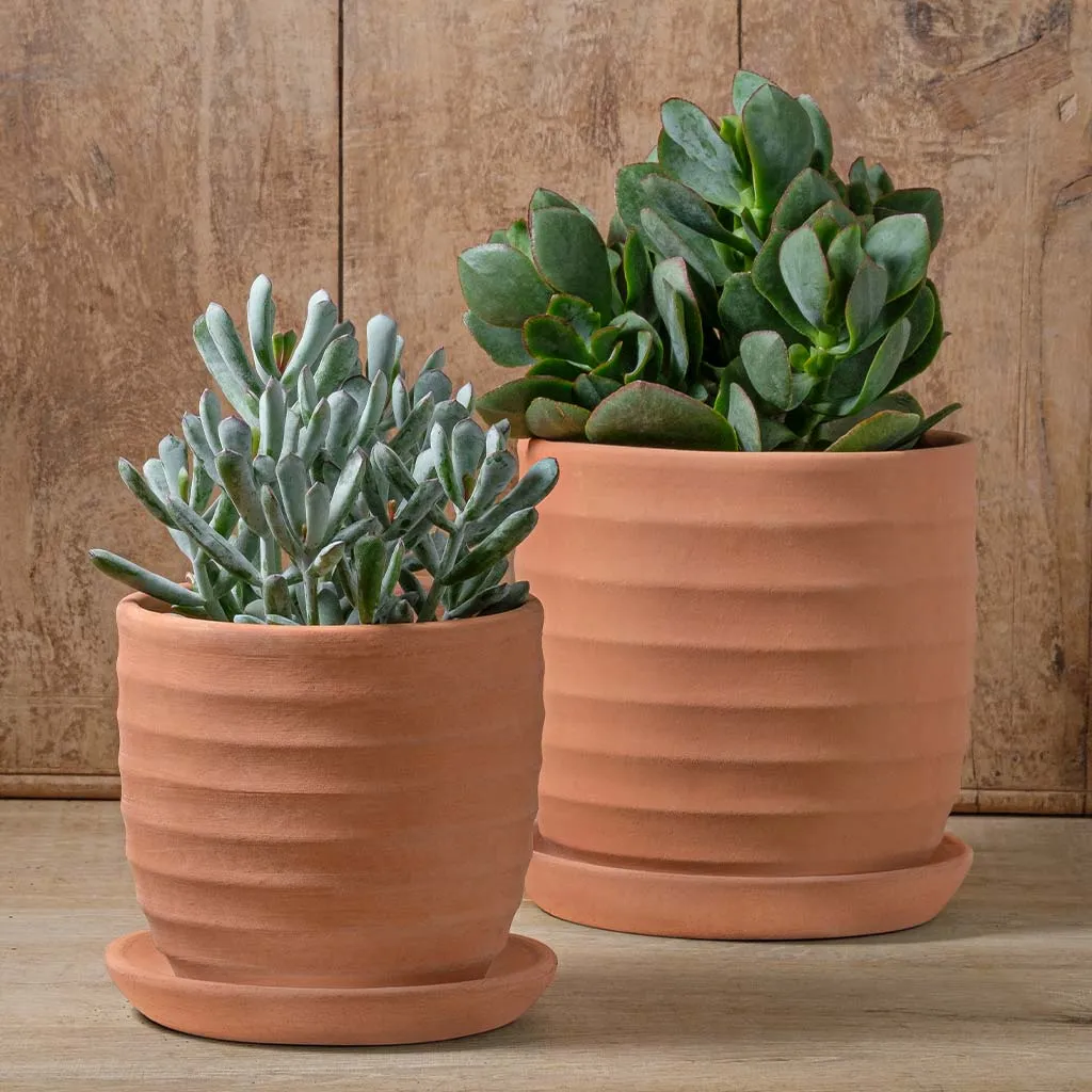 Campania Parallel Planter Set of 8