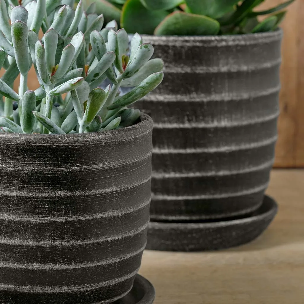 Campania Parallel Planter Set of 8