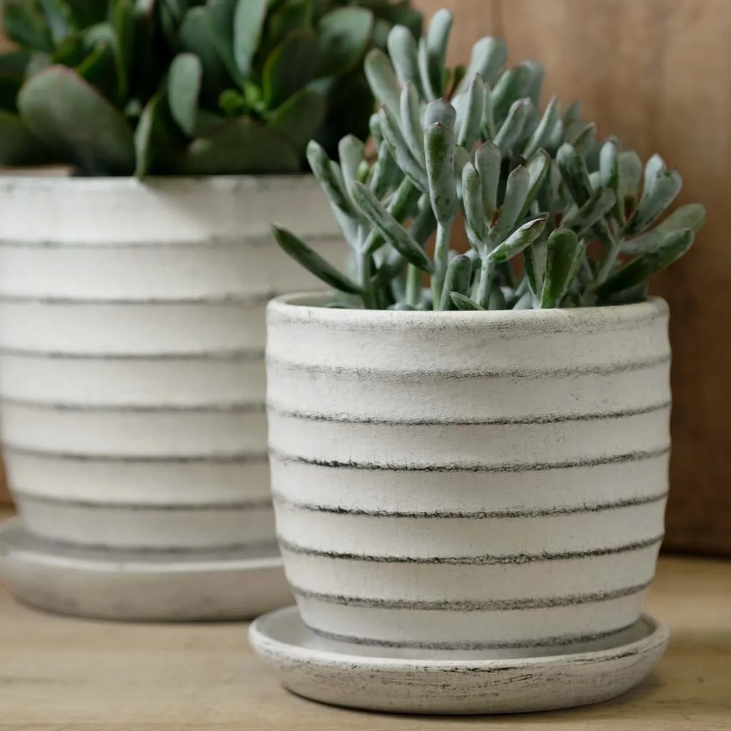 Campania Parallel Planter Set of 8
