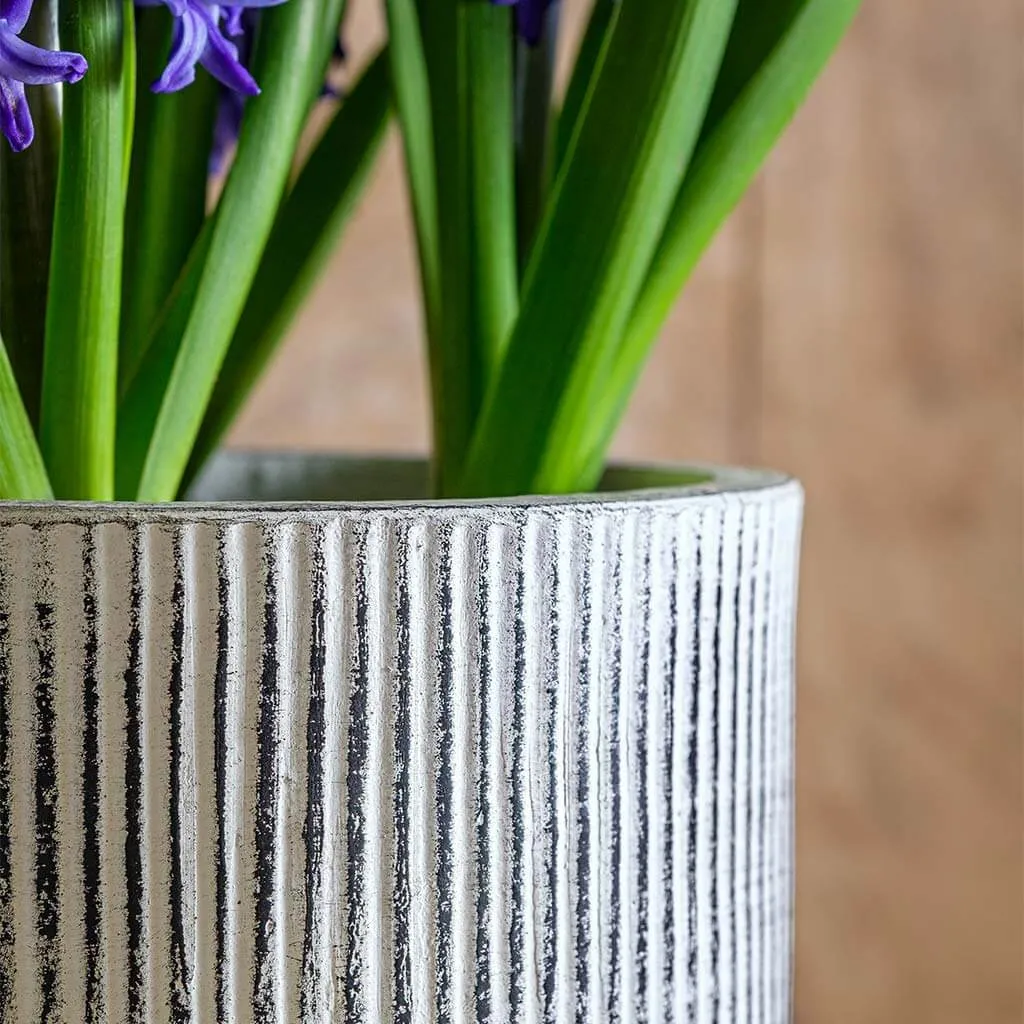 Campania Pleated Planter - Dusty White - Set of 8
