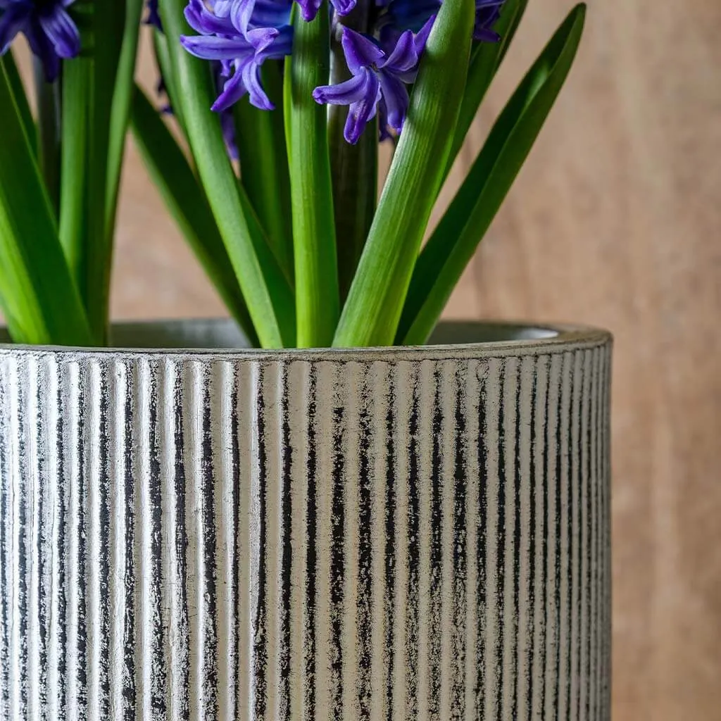 Campania Pleated Planter - Dusty White - Set of 8