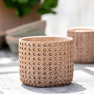 Cane Relief Pattern Cement Pot, 6"