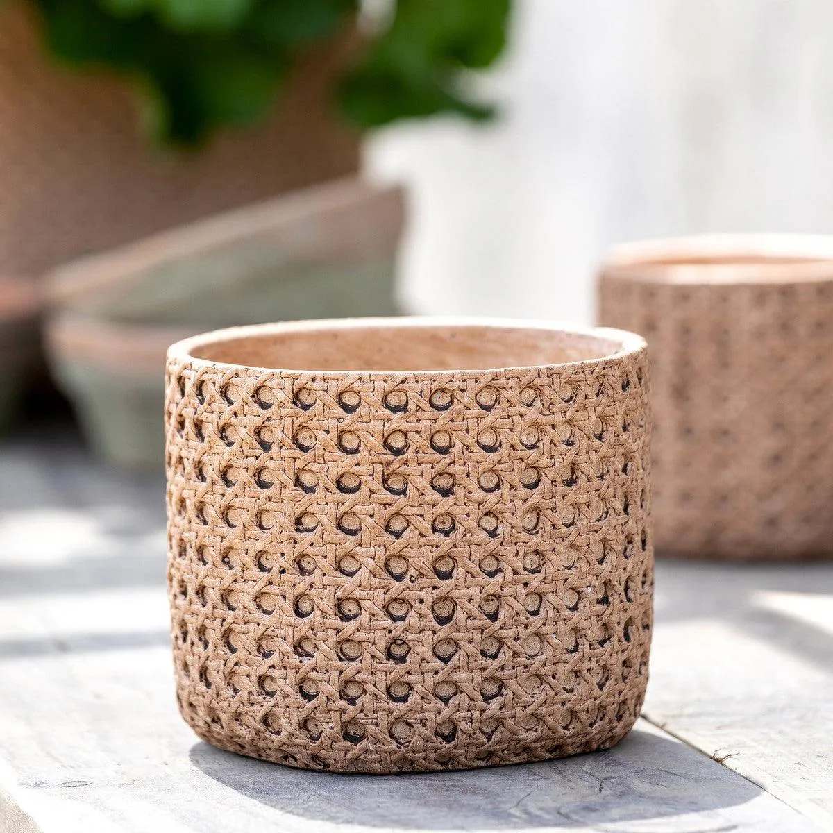 Cane Relief Pattern Cement Pot, 6"