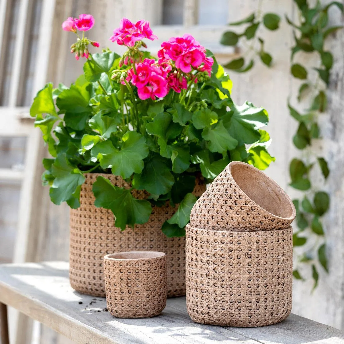 Cane Relief Pattern Cement Pot, 6"