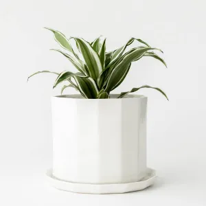 Convivial Riveted Planter