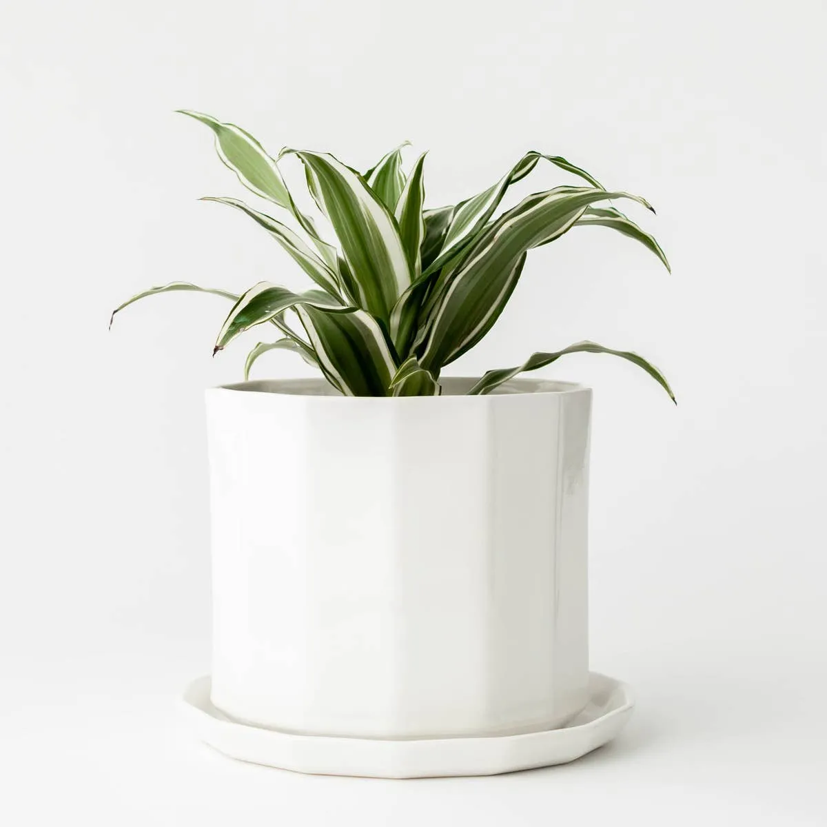 Convivial Riveted Planter