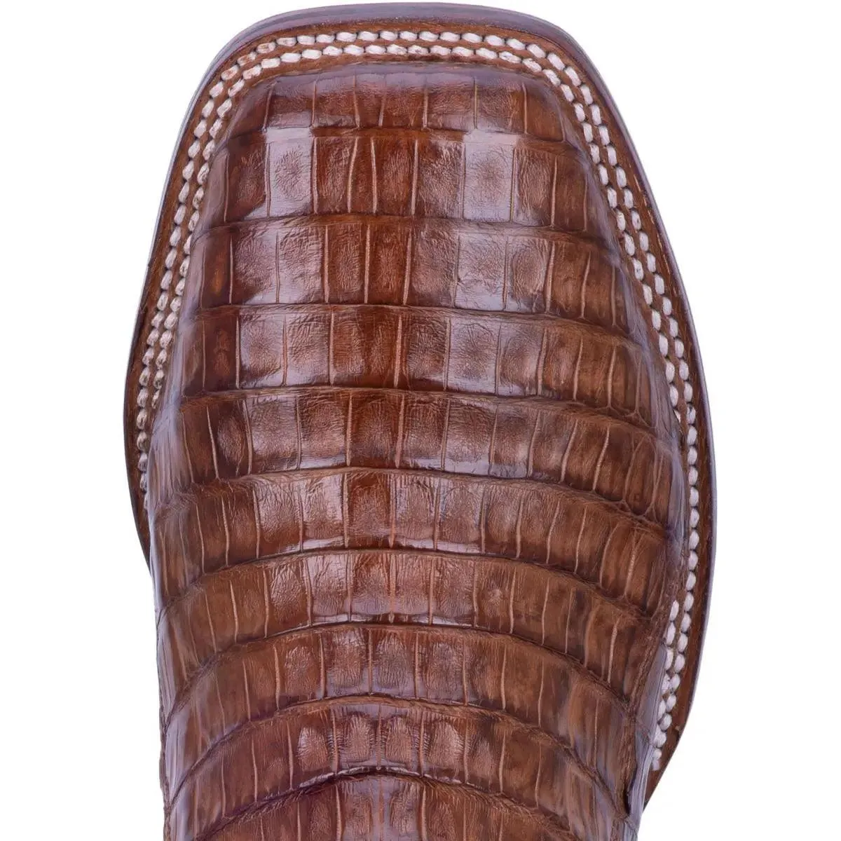 Dan Post Men's  Kingsly 11 Inches Caiman Boot DP4807