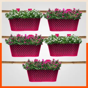 DIA Hanging Metal Pot Holders / Planters for Home / Balcony / Garden | Pink - Set of 5