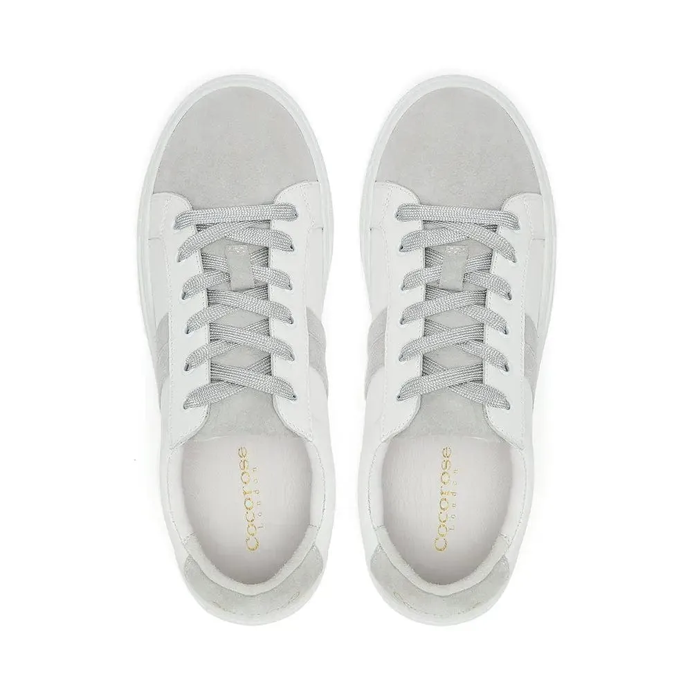 Hoxton - Stripes White & Grey Trainers (EU37)