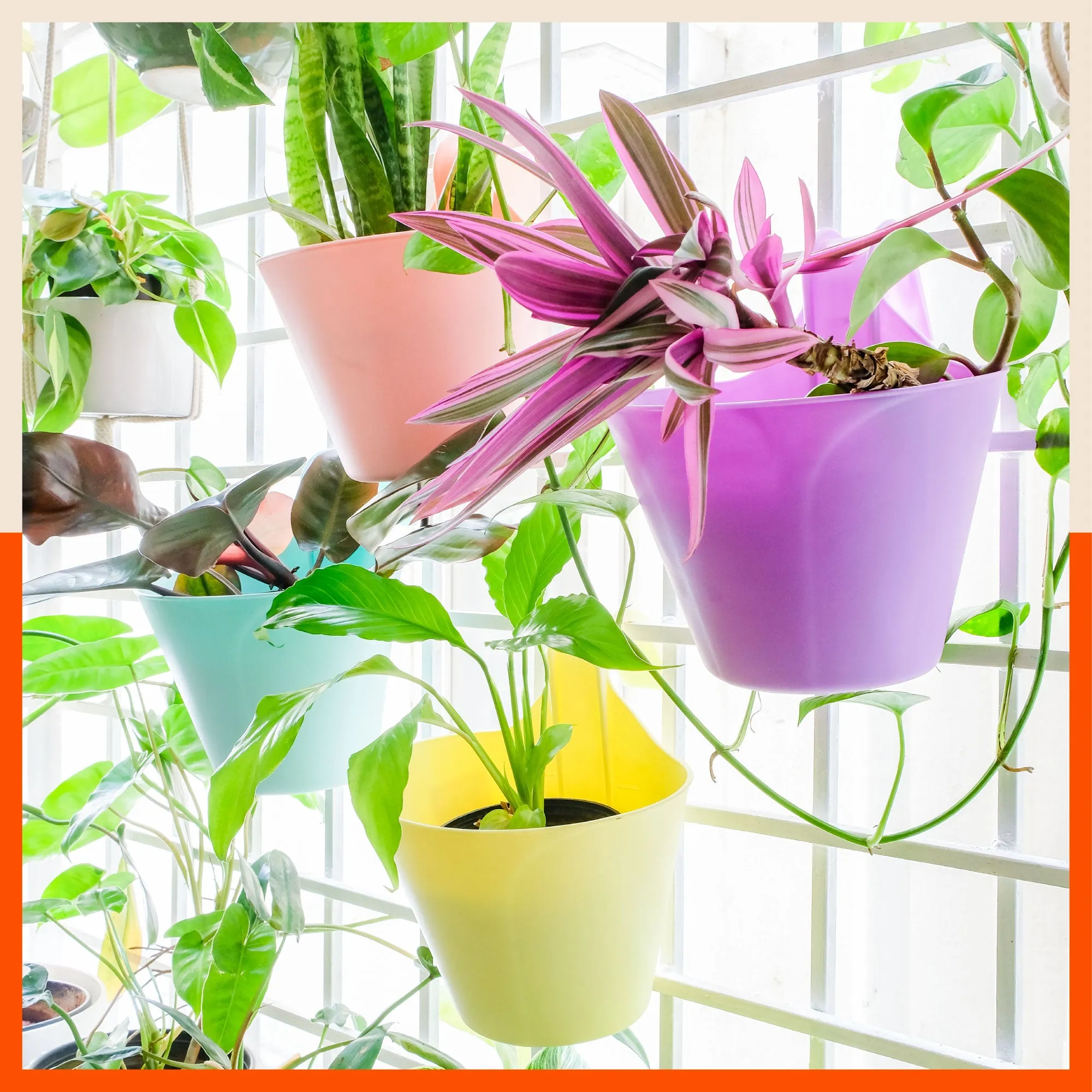 KAI  Hanging Oval Planters For Home (Sky Blue - Set of 5)
