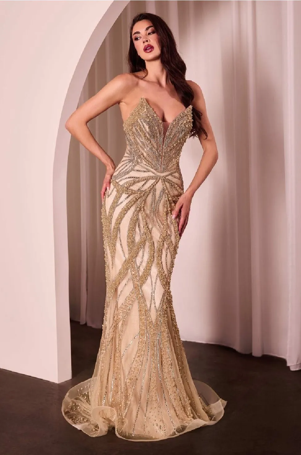LaDivine by Cinderella Divine Evening Gown CC0688