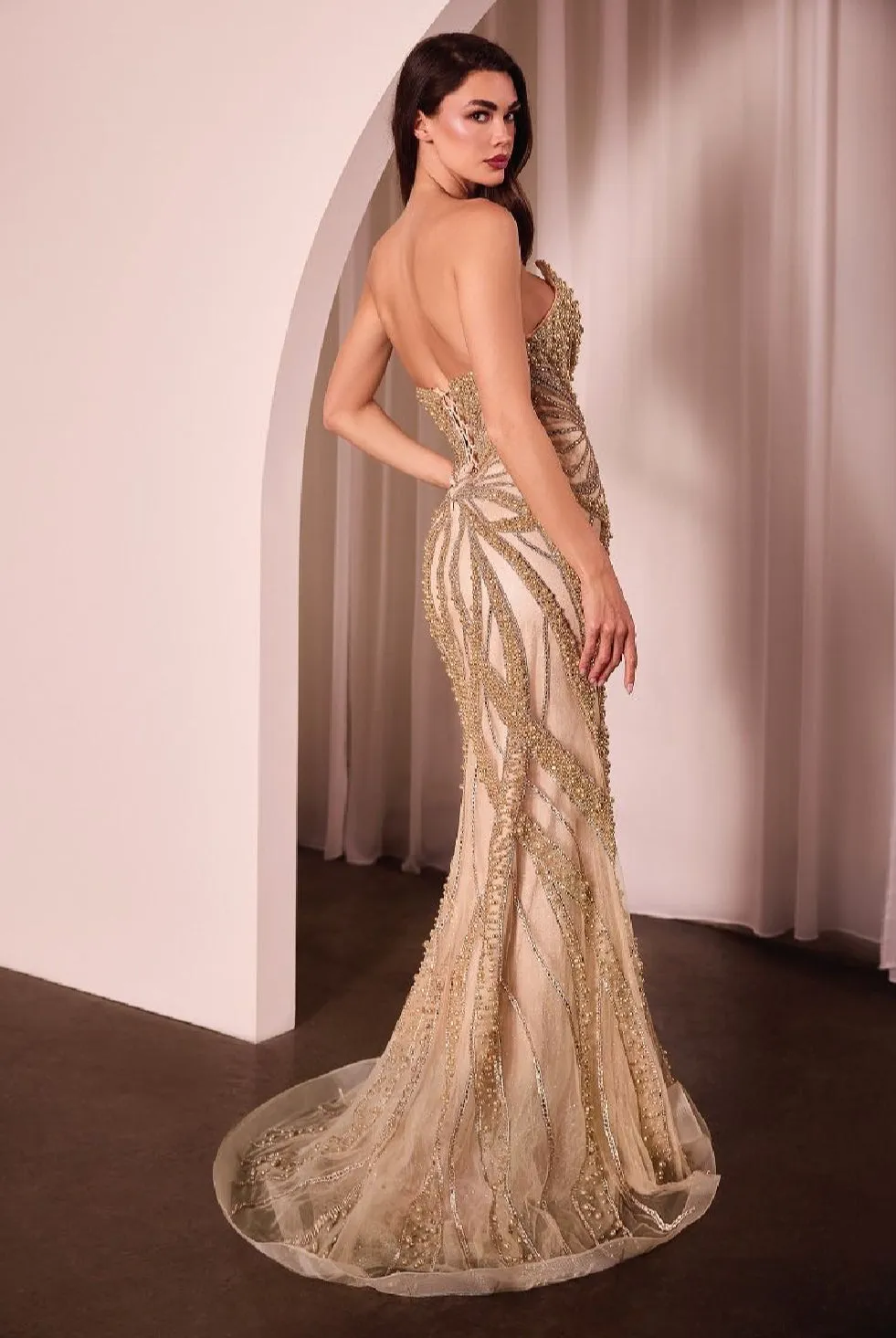 LaDivine by Cinderella Divine Evening Gown CC0688