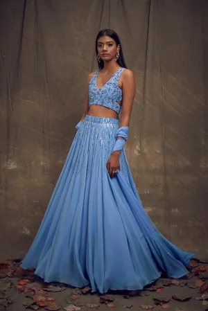 Light Blue Embellished Lehenga with Cut Out Blouse