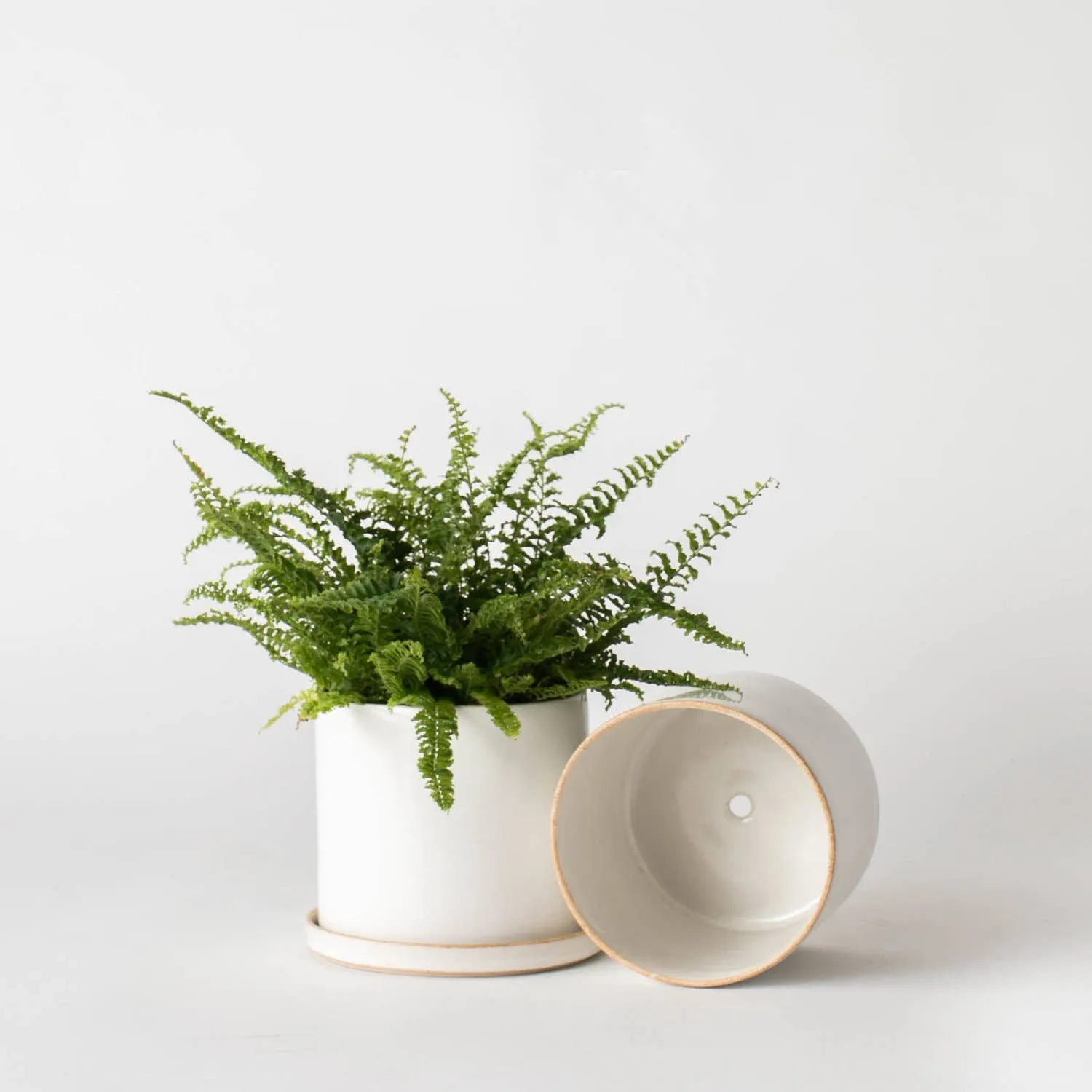 Minimal Ceramic Planter 6” | Stoneware