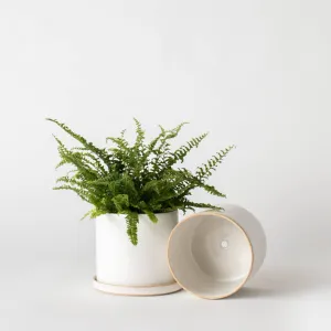 Minimal Ceramic Planter 6” | Stoneware