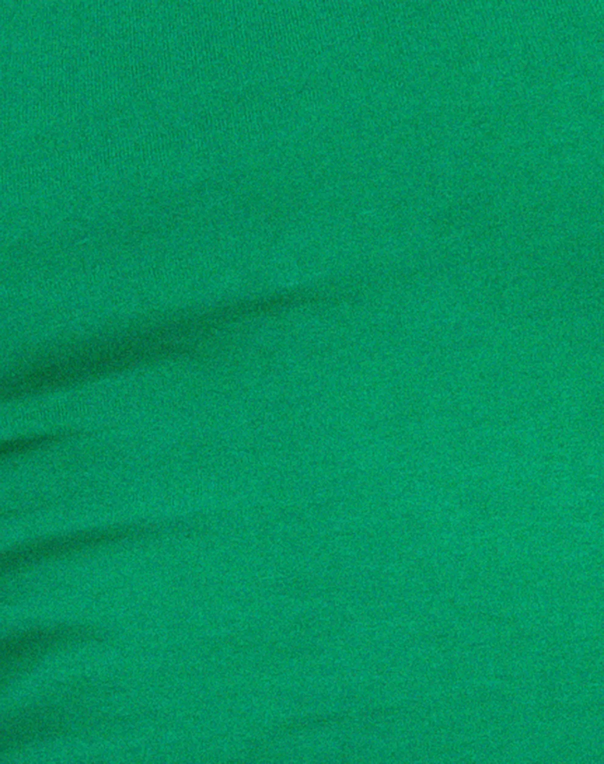 Monlo Top in Bush Green