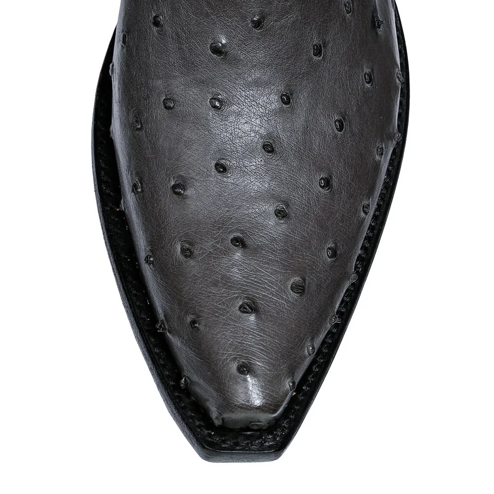 Ostrich El Rancho 12" - Anthracite