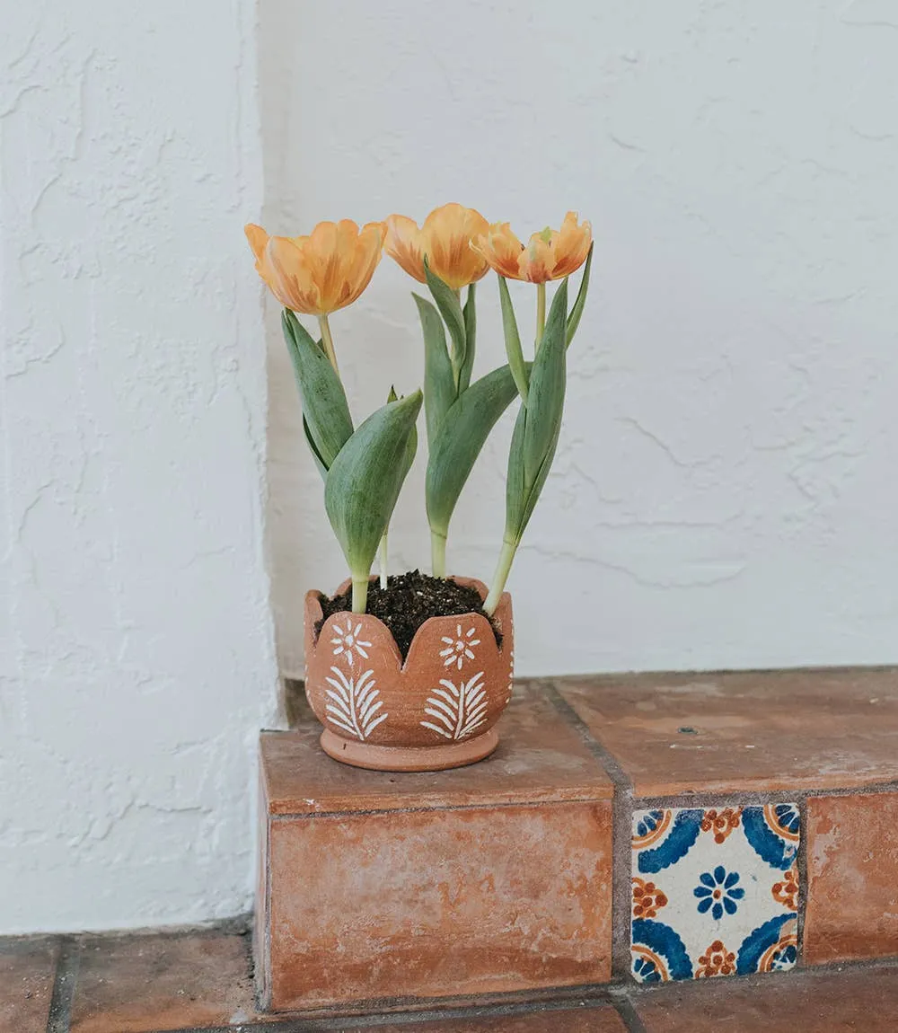 Petals Planter