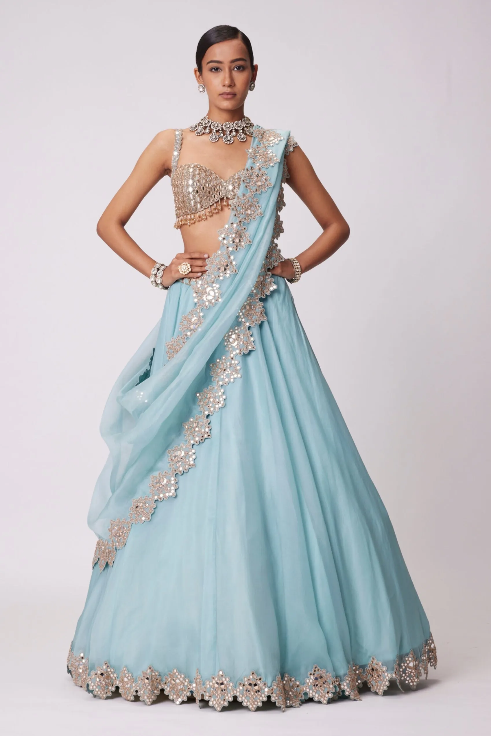 Powder Blue Organza hand Embroidered Lehenga Set
