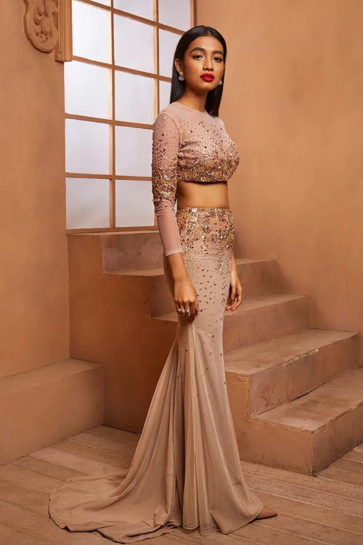 ROSE GOLD EMBELLISHED BLOUSE AND MERMAID SKIRT