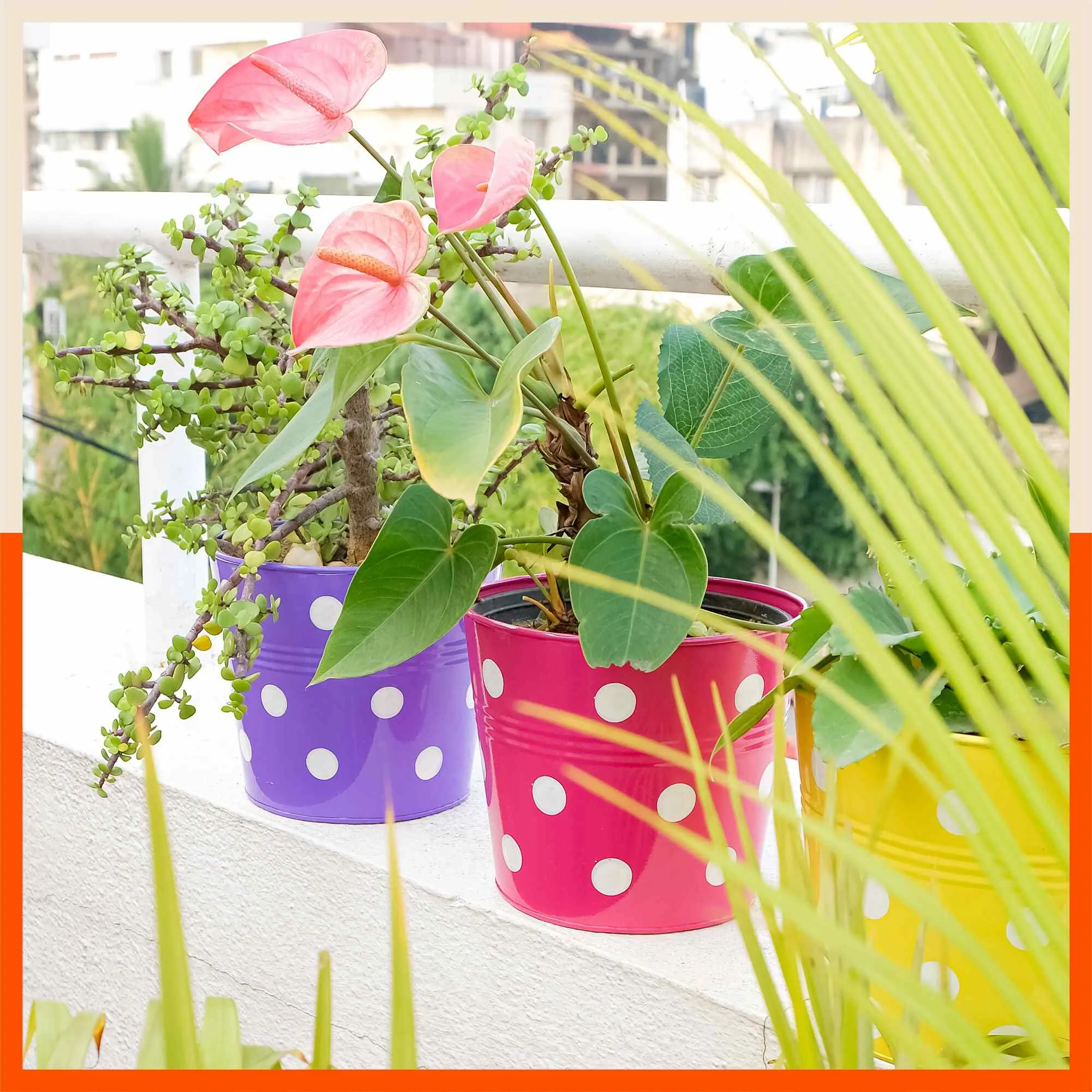 RUI Hanging Metal Pot Holders / Planters for Home / Balcony / Garden | Blush - Set of 5