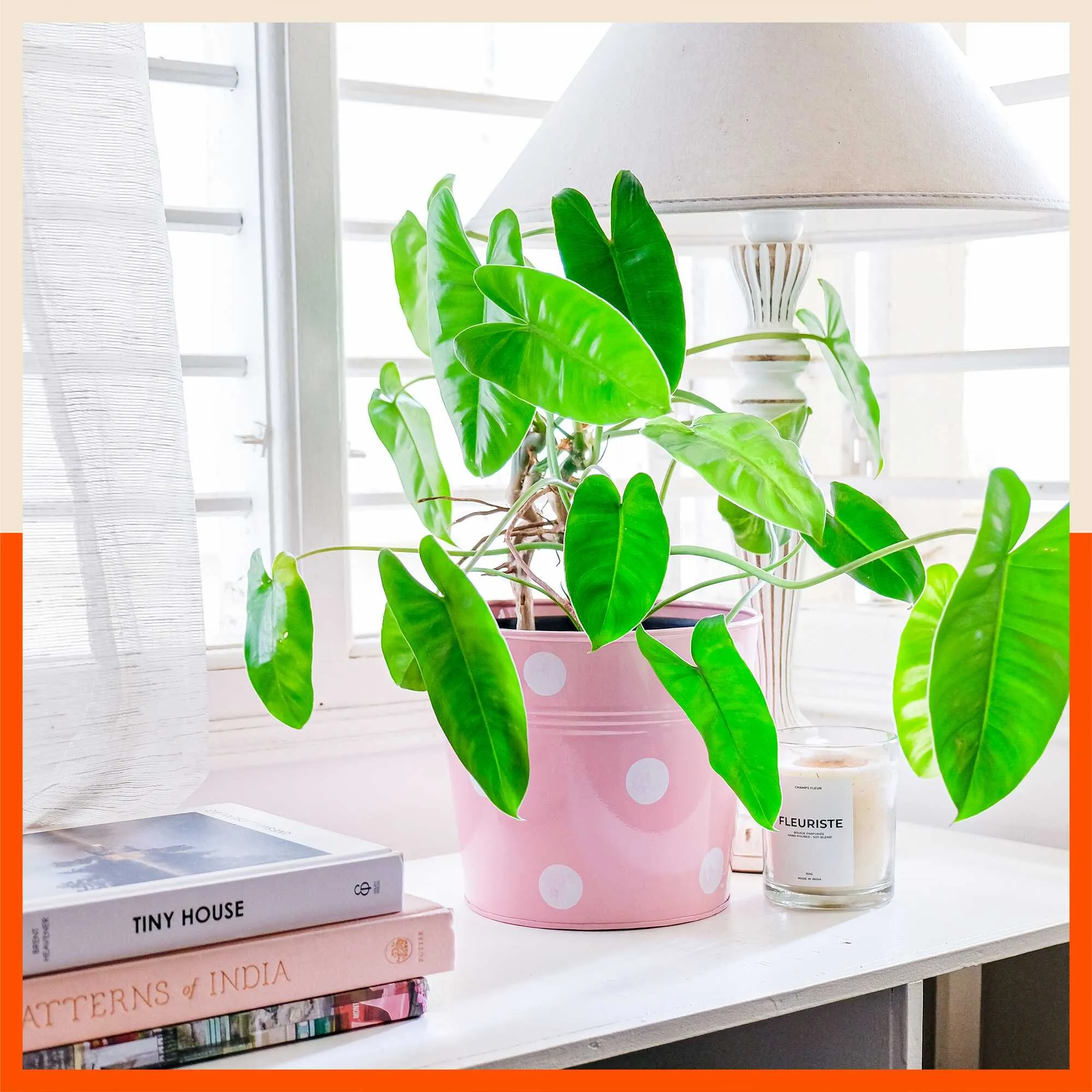 RUI Hanging Metal Pot Holders / Planters for Home / Balcony / Garden | Blush - Set of 5
