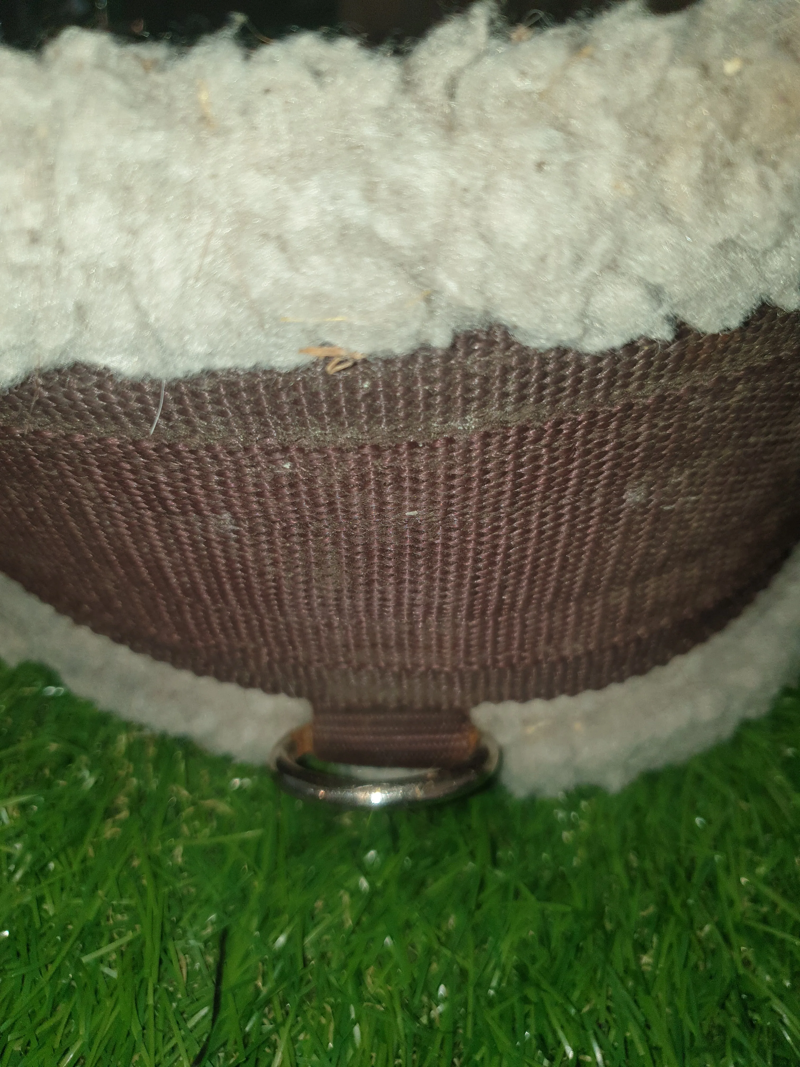 Shires 50" brown cotton fleece lined girth FREE POSTAGE ❤️