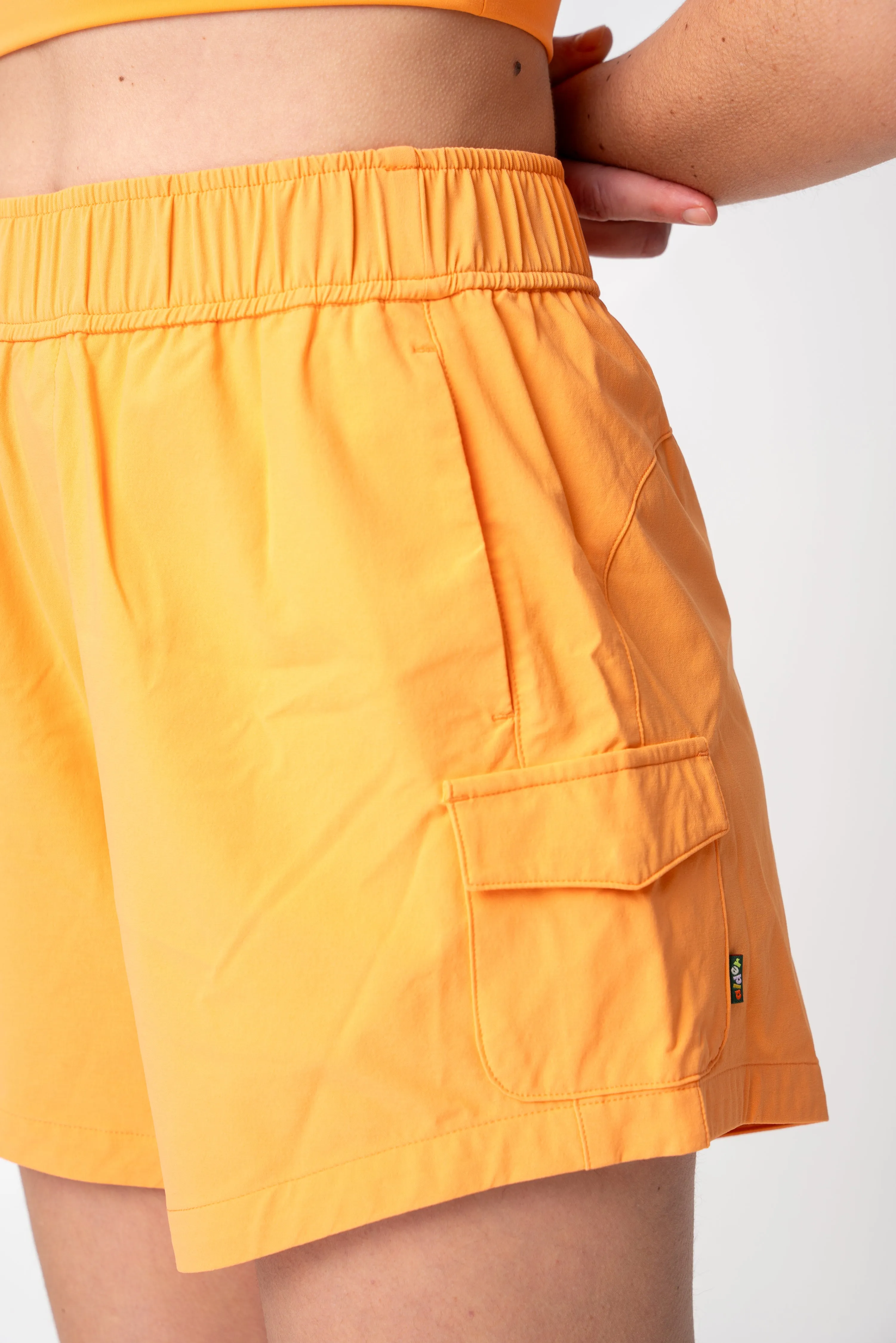 surf's up shorts